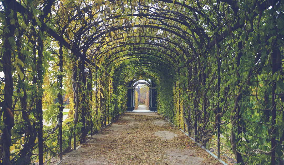 Jardins Luxuosos e Exuberantes
