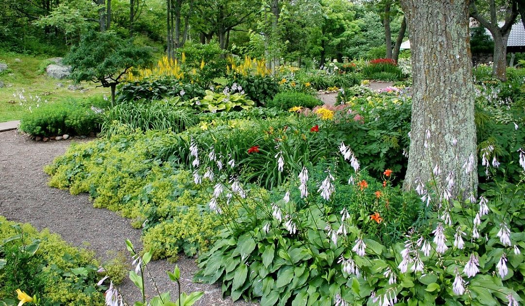 Cuide da saúde do seu jardim. Chame um… arquiteto paisagista!
