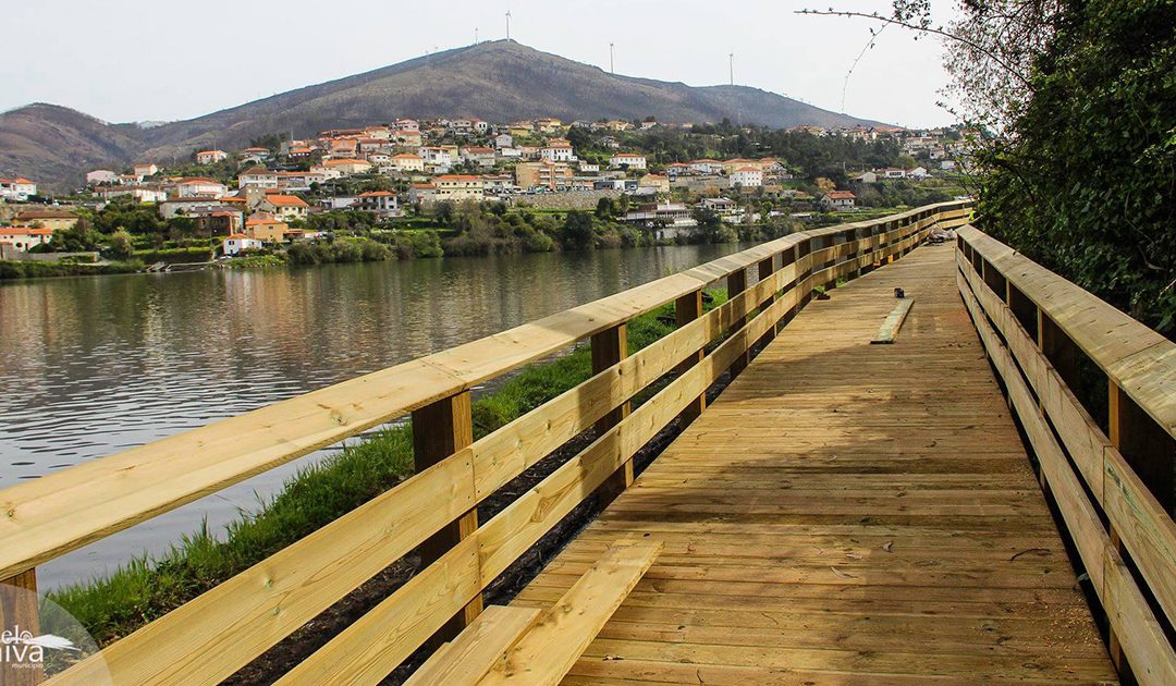 Viver o Douro - caminho (2)