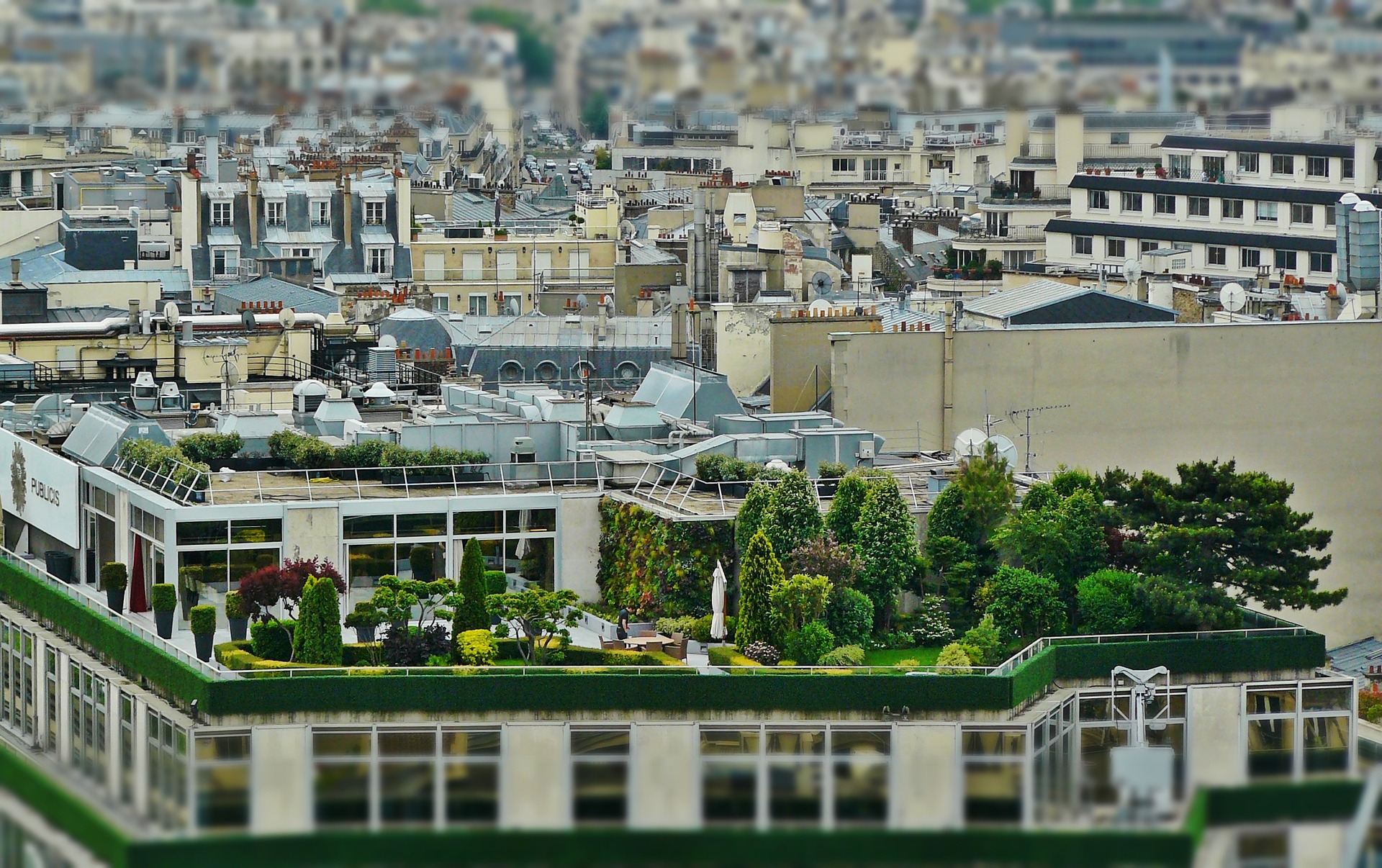 Jardim rooftop
